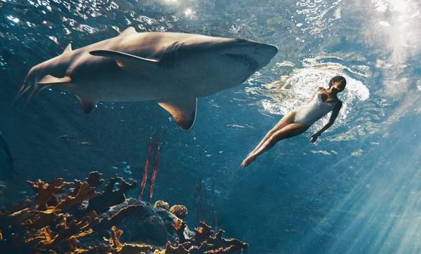Рианна плавала с акулами